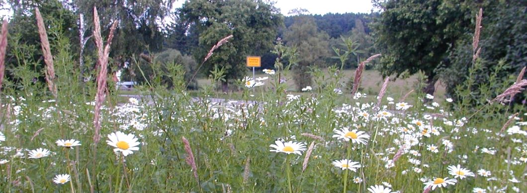 Werkzeugkasten Werkzeugkasten